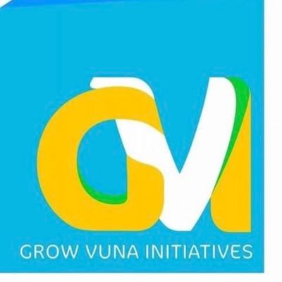 GVI Limited Company, Curate Indigenous Fijians Research, Indigenous Knowledge, Fine Arts, Limited Edition Products.