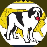 B1G Dawg’s Winners (@bigdawgwinners) 's Twitter Profile