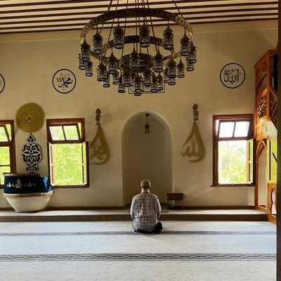 Hmzgler58's profile picture. sivas/zara/istanbul