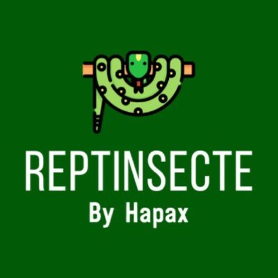 Hapax • Passion Animaux / Insecte 📸 • Photo 🦗 • Élevage ————— 🐍 Reptile • 🐜Fourmis •🪱 Myriapodes • 🐠 Aquario • 🪳 Blattes • Cloporte • Punaise