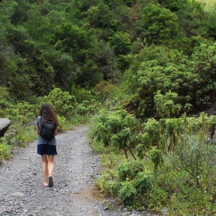 Técnica Superior en Educación y Control Ambiental 📖🌍 

Flora de Canarias🌼

ⵣ