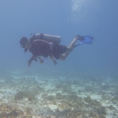 leo_ramca's profile picture. Coordinador de Asesores Área Comercial 
Empresario Director RSE