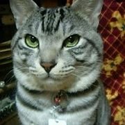 dpX1A3w3oPIpbdq's profile picture. 