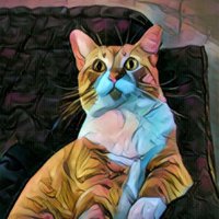 You See Sorrows (@youseesorrows) Twitter profile photo