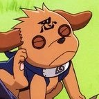 Bisuke (@bisukehound) 's Twitter Profile