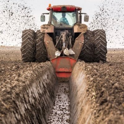 TrenchesDigging's profile picture. Interested in moats in formation