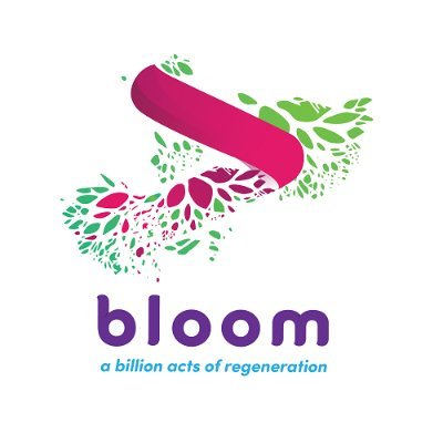 OurBloomNetwork