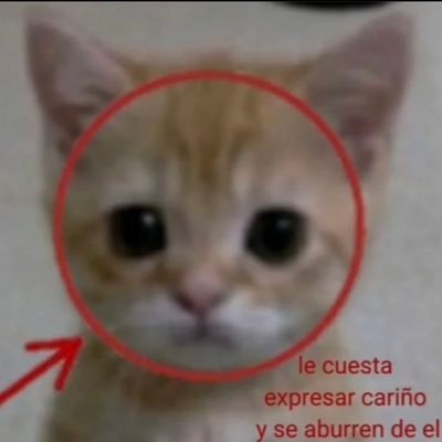perro porrero