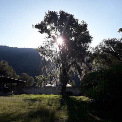 Pilarvicar15's profile picture. 