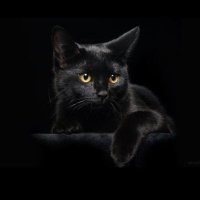 شمس الصباح (@j31wpmz6usxaqls) Twitter profile photo