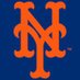 Mets scout team 17u-18u (@17uMetsscout) Twitter profile photo