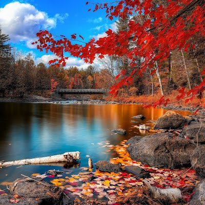 Graciela0746852's profile picture. Hasta que me conozcas, no me juzgues, y hasta que hablemos, no hables de mí.