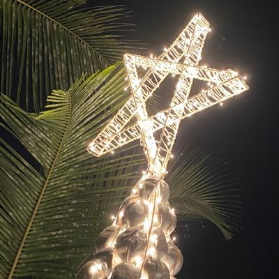 NVviaggiatore Profile Picture