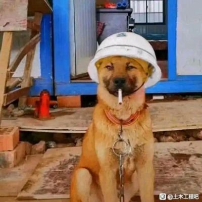 hunzilook's profile picture. 