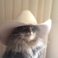 Cowboy 2 🤠 ✝️(@_Swaze_S) 's Twitter Profile Photo