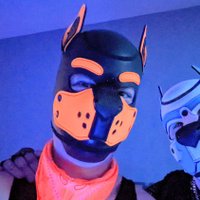 Amp Puppy 🏳️‍🌈(@PuppyAmp) 's Twitter Profile Photo