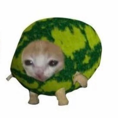 meloneats_kids's profile picture. basic emo on twitter🥸•15