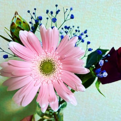 hana88800000's profile picture. 人生で素直に思ったこと ツイートしていこうと思います 趣味はオラクルリーディング✨宇宙 地球 全てを愛しています 観てくださった方 ありがとうございます✨フォロー✨歓迎💓💓