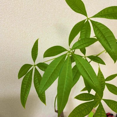 _3110_373's profile picture. https://t.co/CklfvWq5qX