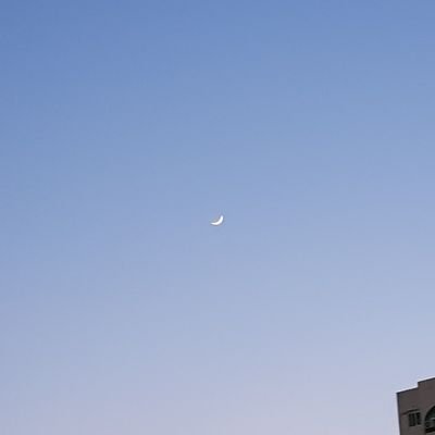 북극곰さんのプロフィール画像
