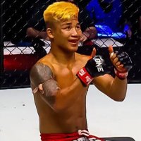 silverwolf (@thesilverwolfgg) 's Twitter Profile Photo