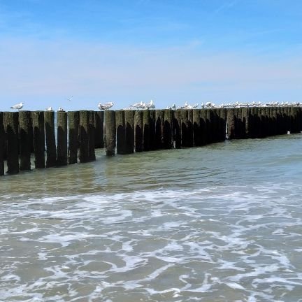 ClaudiadiBella6's profile picture. Klima. Umwelt. Empathie. Liebe statt Hass. Liebe alles was grün ist. 💚💚💚🌻
Für meine Kinder und Enkelkinder. Für eine lebenswerte Welt.