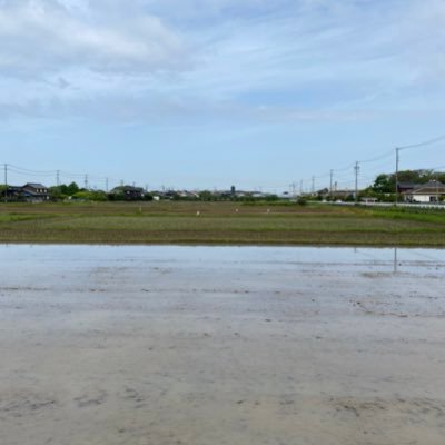 oregano029's profile picture. 