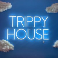 TrippyHouse (@trippyhouses) 's Twitter Profile