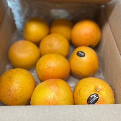 Investment8253's profile picture. 투자문의 텔레그램 dugi1111