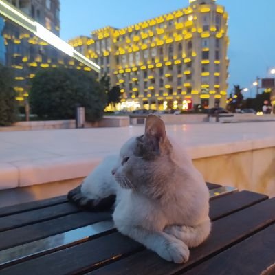 Лезгин 🦅
𝐀𝐒𝐎İ𝐔👷🧑💻-💻
Hər kəs layiq olduğunu alacaq!