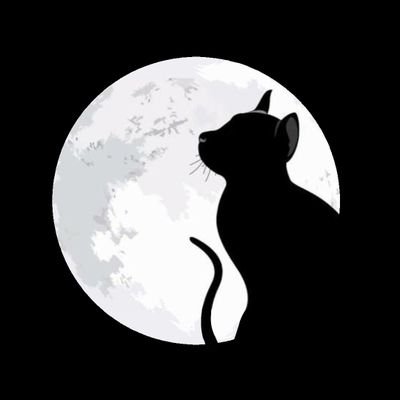 モノクロ猫さんのプロフィール画像
