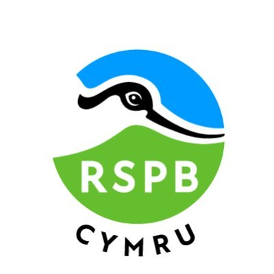RSPBCymru Profile Picture