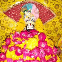 Meghraj Meena (@meghraj00106423) 's Twitter Profile