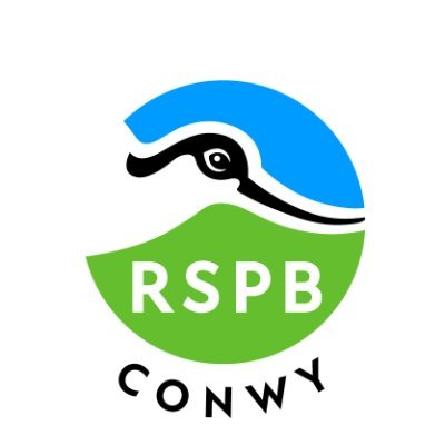 Official account for RSPB Conwy, a scenic man-made wetland on the bank of the Conwy estuary. News, sightings and events from the reserve team.