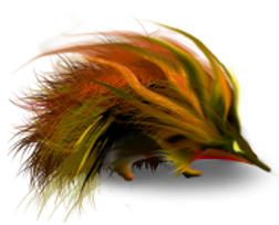 DEchidna's profile picture. explore the dark side of security