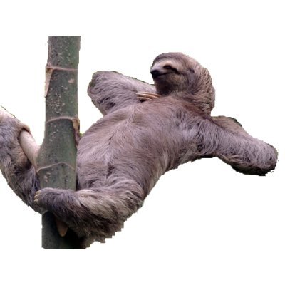 Slothy (@slotha) / X