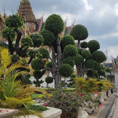 Scoreup3's profile picture. No care