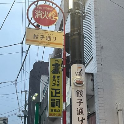 Winter__619's profile picture. 鳥谷敬