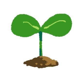 A Seed Leaf@1日目 東5 ツ 59aさんのプロフィール画像