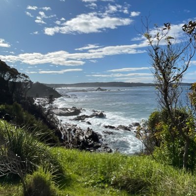 vix29484441's profile picture. 