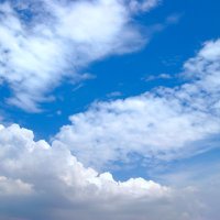 より@ポイ活 (@a42855419) 's Twitter Profile Photo