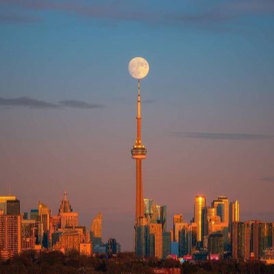 Paddy_PMP's profile picture. Project Management Professional, Husbond, Father of two sons