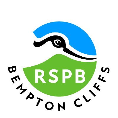 RSPB Bempton Cliffs