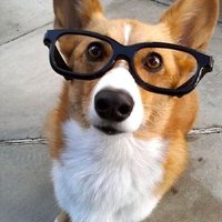 BrentofRS (@brentofrs) 's Twitter Profile