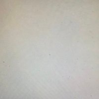 Pijat Khusus Pria (@pijatsegarr) 's Twitter Profile Photo Pijat Khusus Pria (@pijatsegarr) 's Twitter Profile Photo