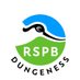 RSPB Dungeness (@RSPBDungeness) Twitter profile photo