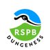 RSPB Dungeness (@rspbdungeness) Twitter profile photo RSPB Dungeness (@rspbdungeness) Twitter profile photo