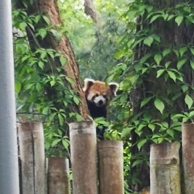 BMT_ttv's profile picture. |🇵🇱 | earnings from karting 1140zł