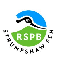 RSPB Strumpshaw Fen(@RSPB_Strumpshaw) 's Twitter Profile Photo