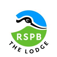 RSPB The Lodge (@rspbthelodge) 's Twitter Profile